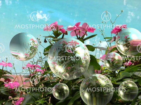 Bubbles and flowers