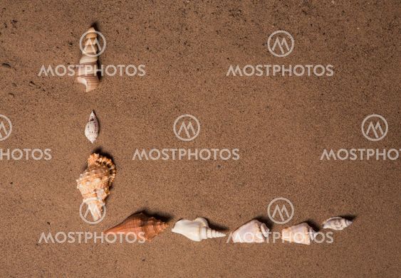 sea shells with sand as background