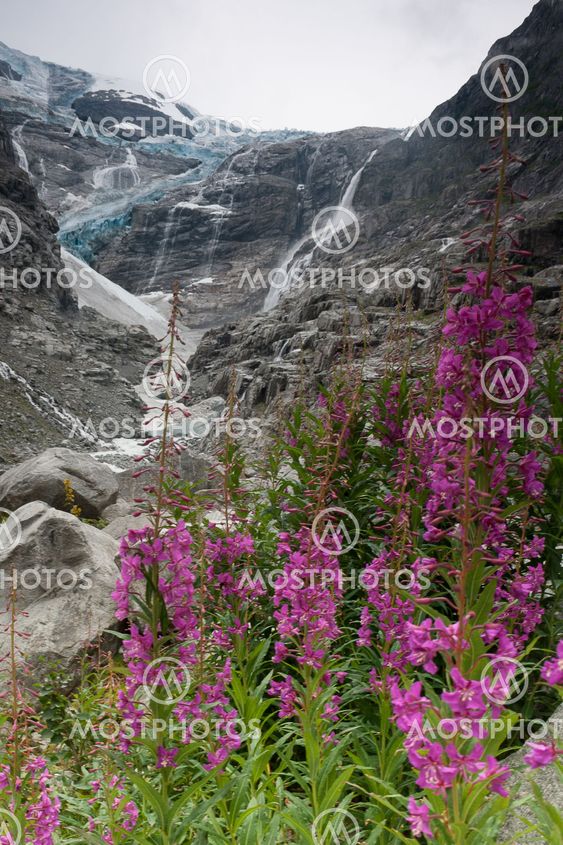 Barren Colour