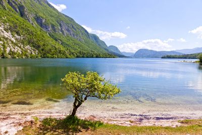 Picturesque view of Lake Bohinj, Slovenia