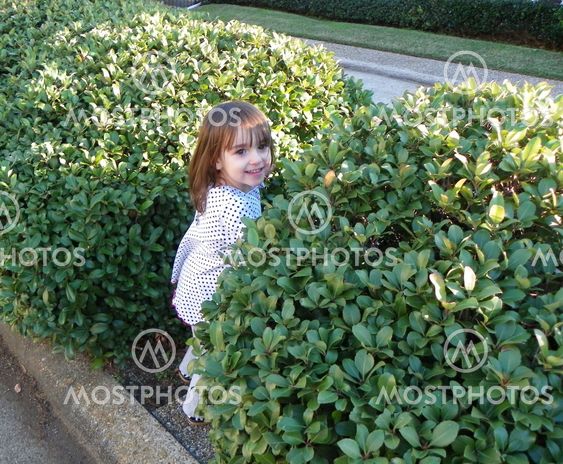 Child in Bushes