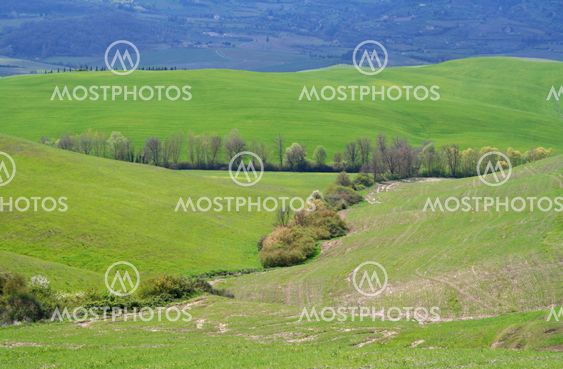 Italy. Val D'Orcia valley. Tuscany landscape