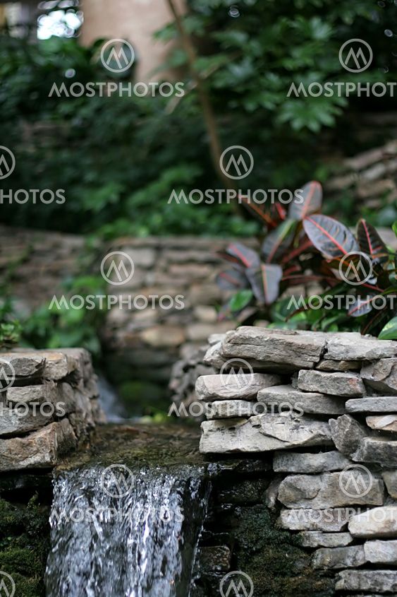 Rock Garden