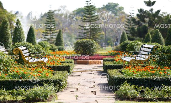 Two benches in the garden