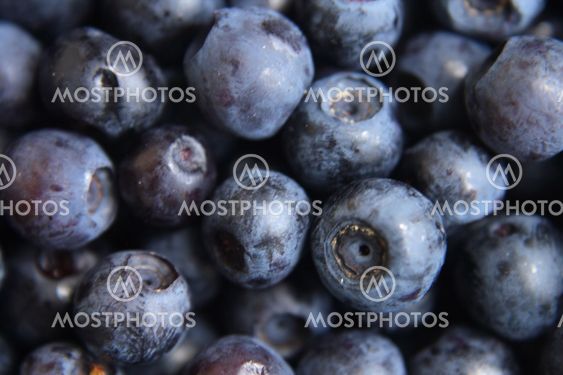 blueberries background