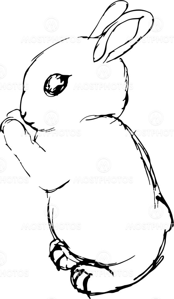 rabbit drawings with a blac by milana iskuzhina mostphotos rabbit drawings with a blac by