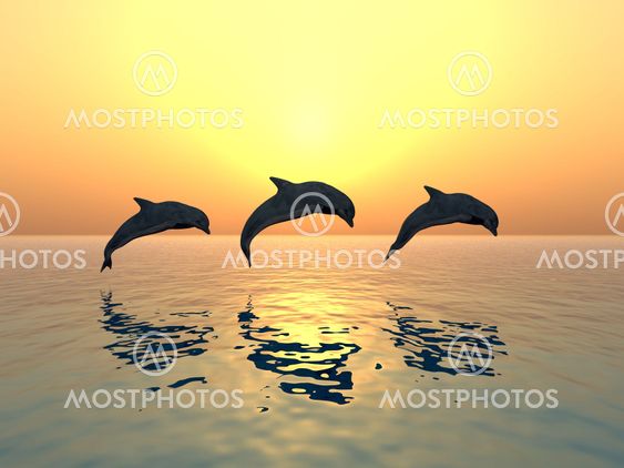 Jumping Dolphins