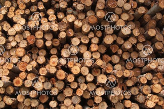 A pile of wood.