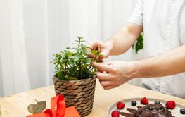 Close-up of a man's hands decorating a chocolate heart...