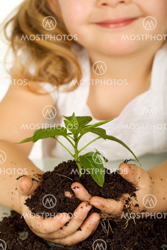Little girl holding a young plant in soil - closeup