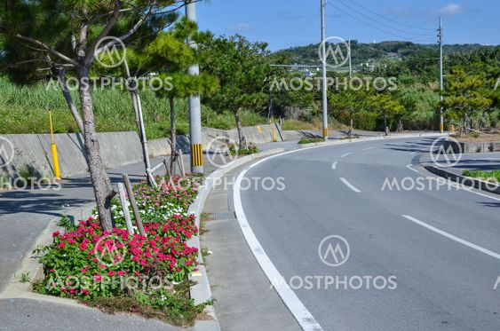 Okinawan street view