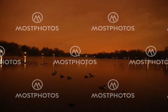 Pond by night