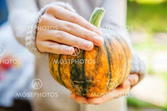 Closeup natural autumn fall view woman hands holding...
