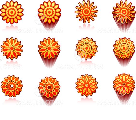 floral design collection