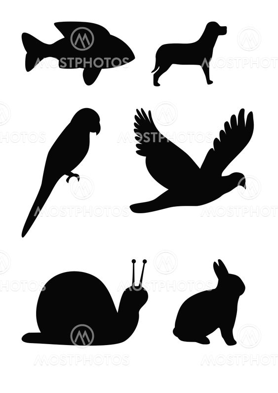 Animal silhouettes