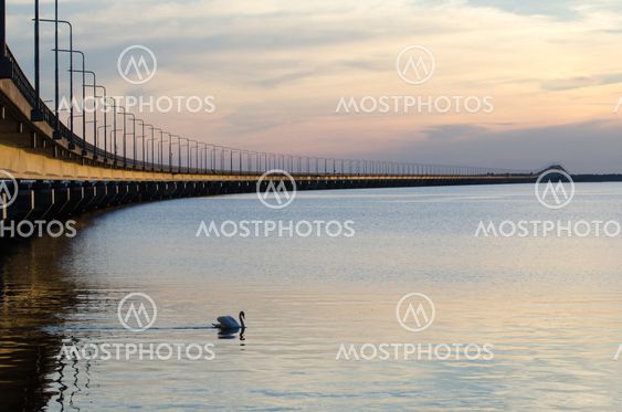 Calm evening by the bridge