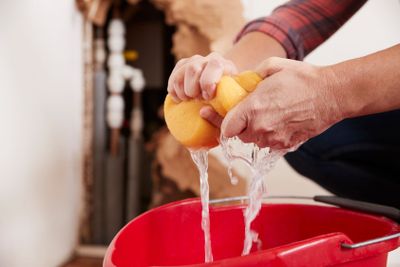 Woman wringing water out of a sponge into a bucket, detail