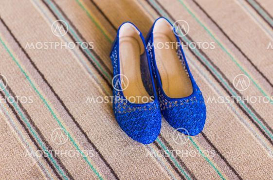 Elegant blue flat shoes for women