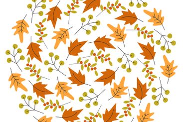 Colorful Autumn leaves Twigs berries Circular Background...