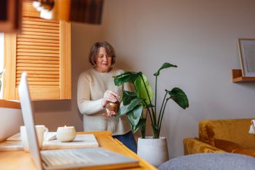 An elderly woman in casual clothes waters a houseplant...
