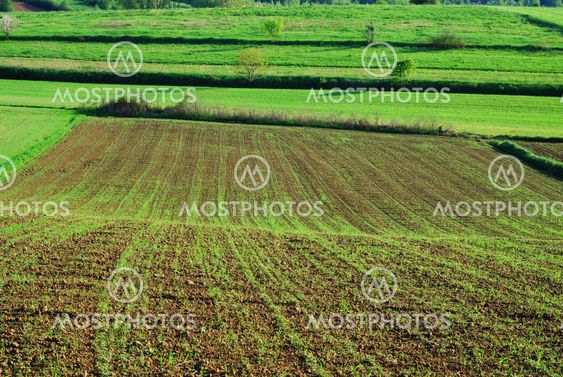agricultural landscape