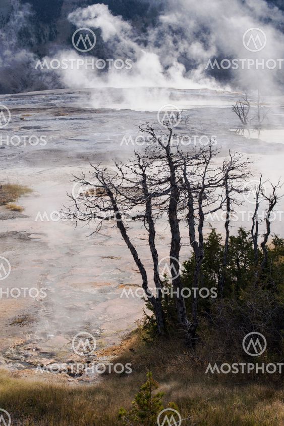 Main Terrace at Mammoth Hot Springs