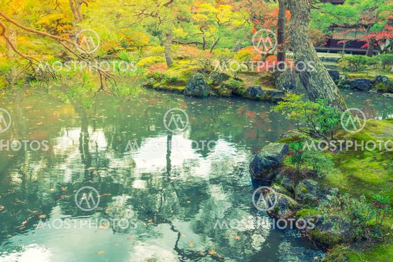 Autumn forest with river ( Filtered image processed...