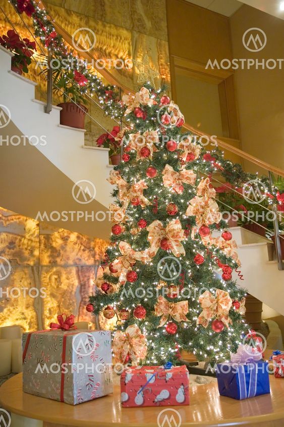 Christmas Tree and Stairs