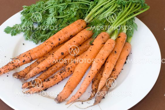Carrots recently pulled from ground on plate