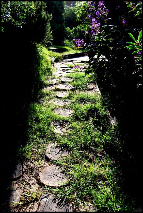 One not-so-travelled path