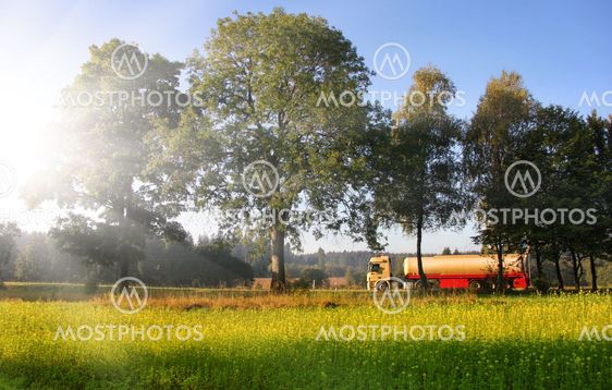 Tank with biofuel