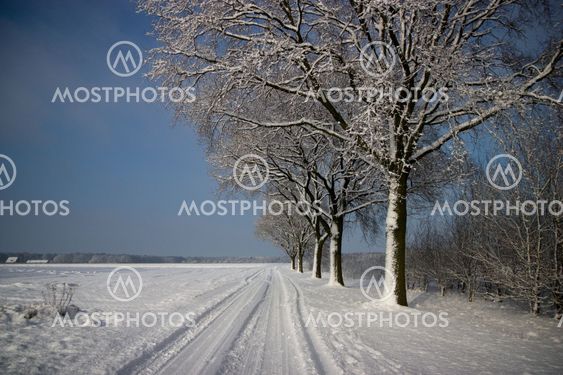 Winter Landscape