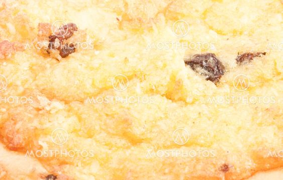 Close-up cake cup with Raisin on the white background