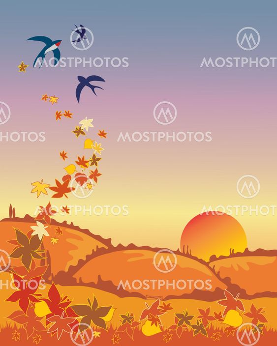 swallows leaving in autumn