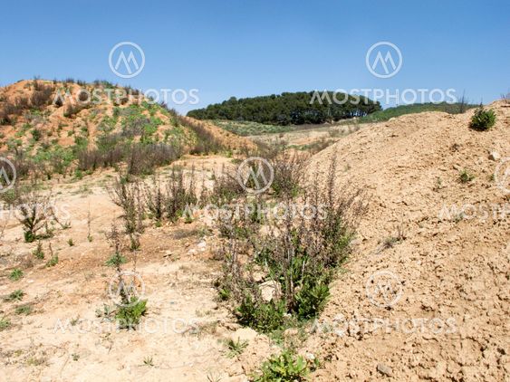 drought land in the fields of catalonia drought land in...