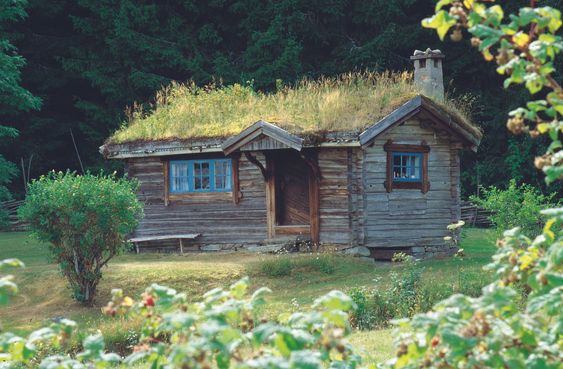 Cottage by the woods