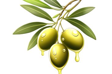 Olive Branch with Dripping OilOlive Branch with Dripping...