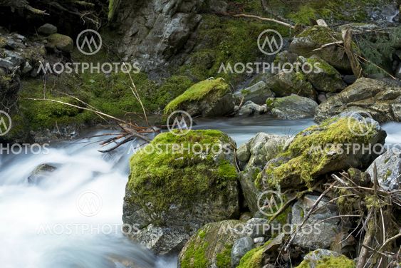 Cascades Mountains Creek