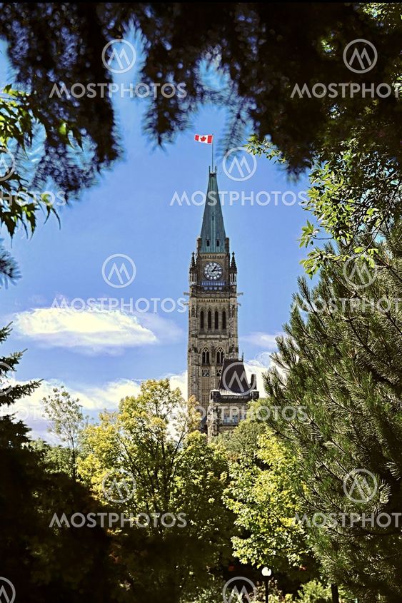Parliament Framed