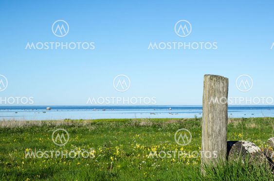 Weathered Pole