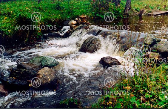 Mountain stream