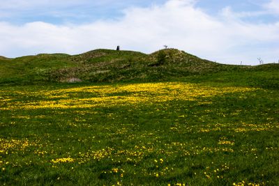 Karaby backar,Dösjebro.  i Skåne