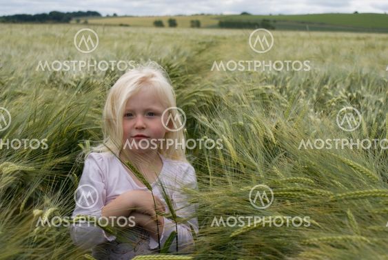 Barley Girl