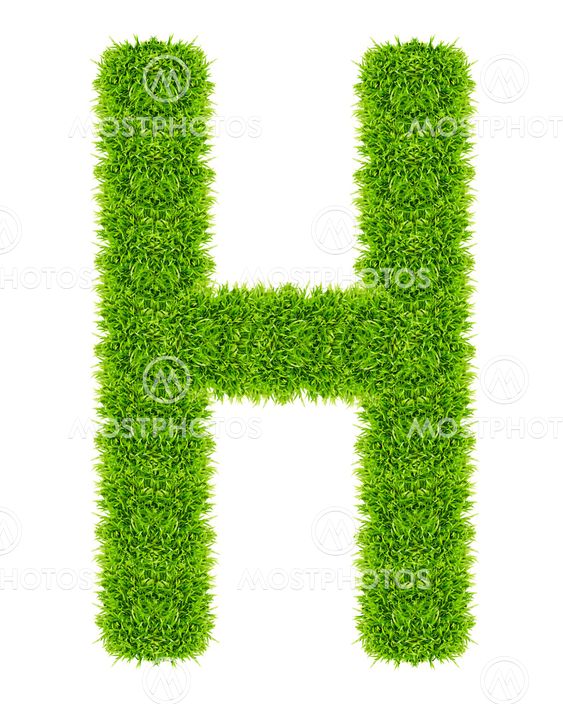 green grass letter H Isolated
