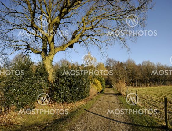 footpath