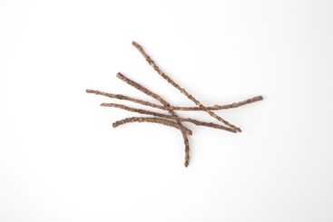 close up of twigs lying on a plain white background....