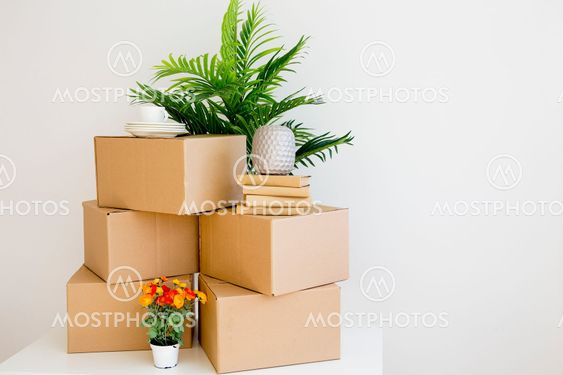 Cardboard boxes - moving to a new house