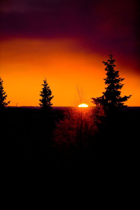 solnedgång