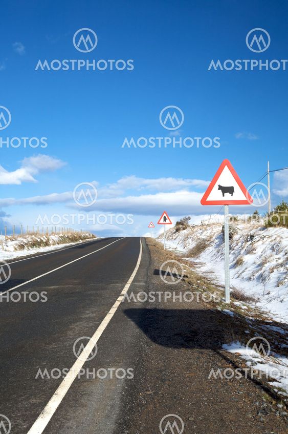 road with three signs