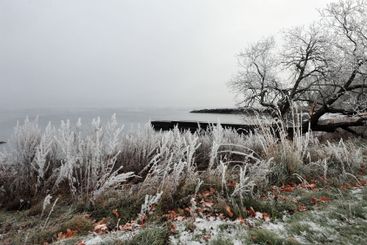 Cold and Moody Winter Beauty